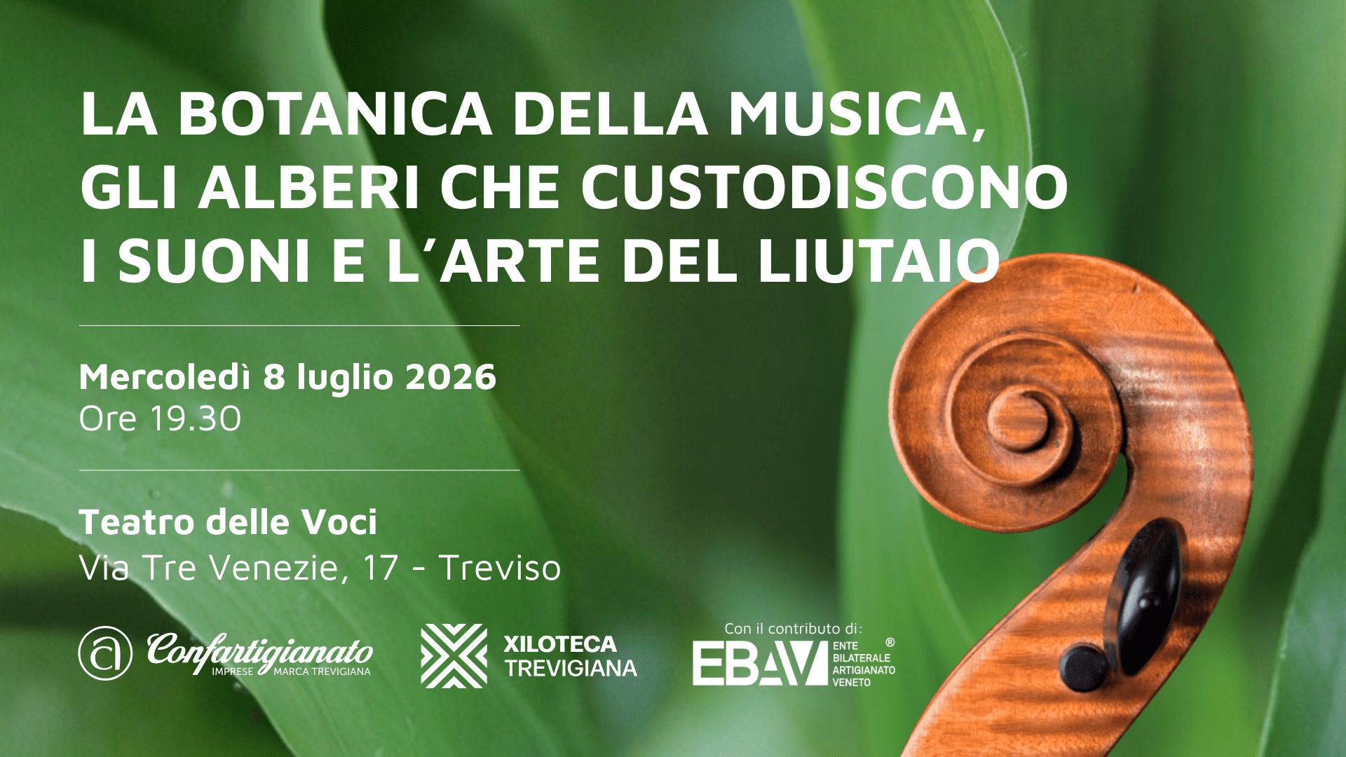 LA BOTANICA DELLA MUSICA, GLI ALBERI CHE CUSTODISCONO I SUONI E L’ARTE DEL LIUTAIO – 8 LUGLIO 2026